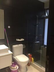 The Silver Fir (D15), Apartment #469103251